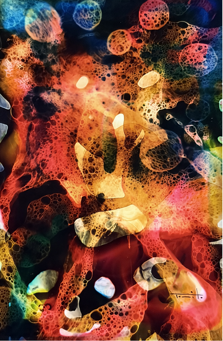 José Tonito — Organic Chaos