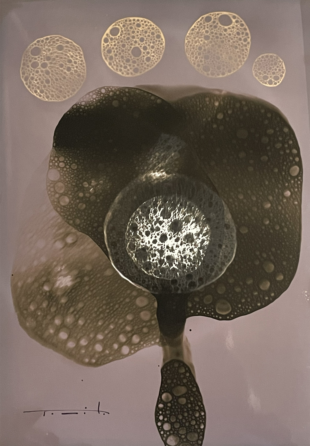 José Tonito — Chemigram